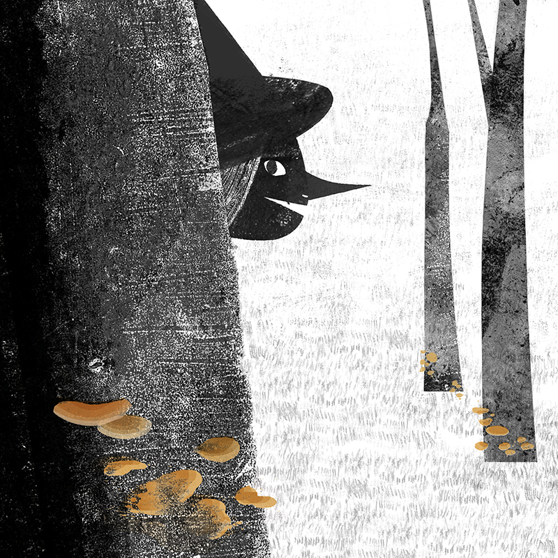 Brujas Botánicas - REISHI