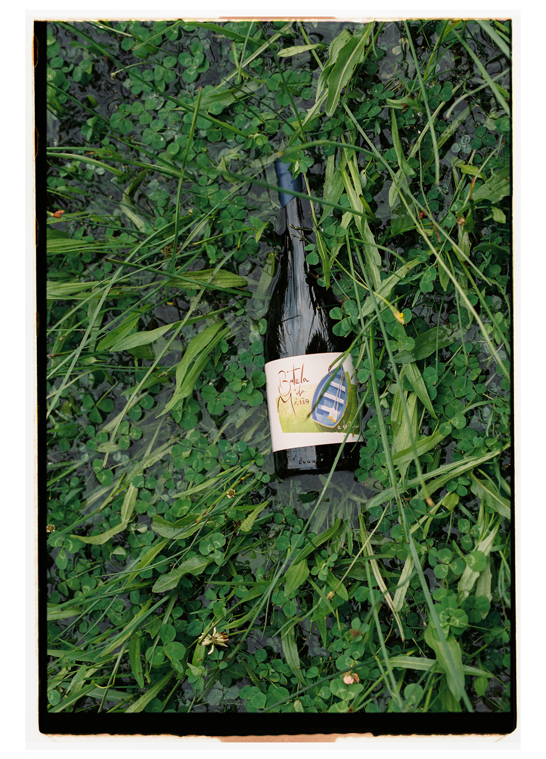 Batela do Miño - Fotografía detalle da botella e acios de uvas