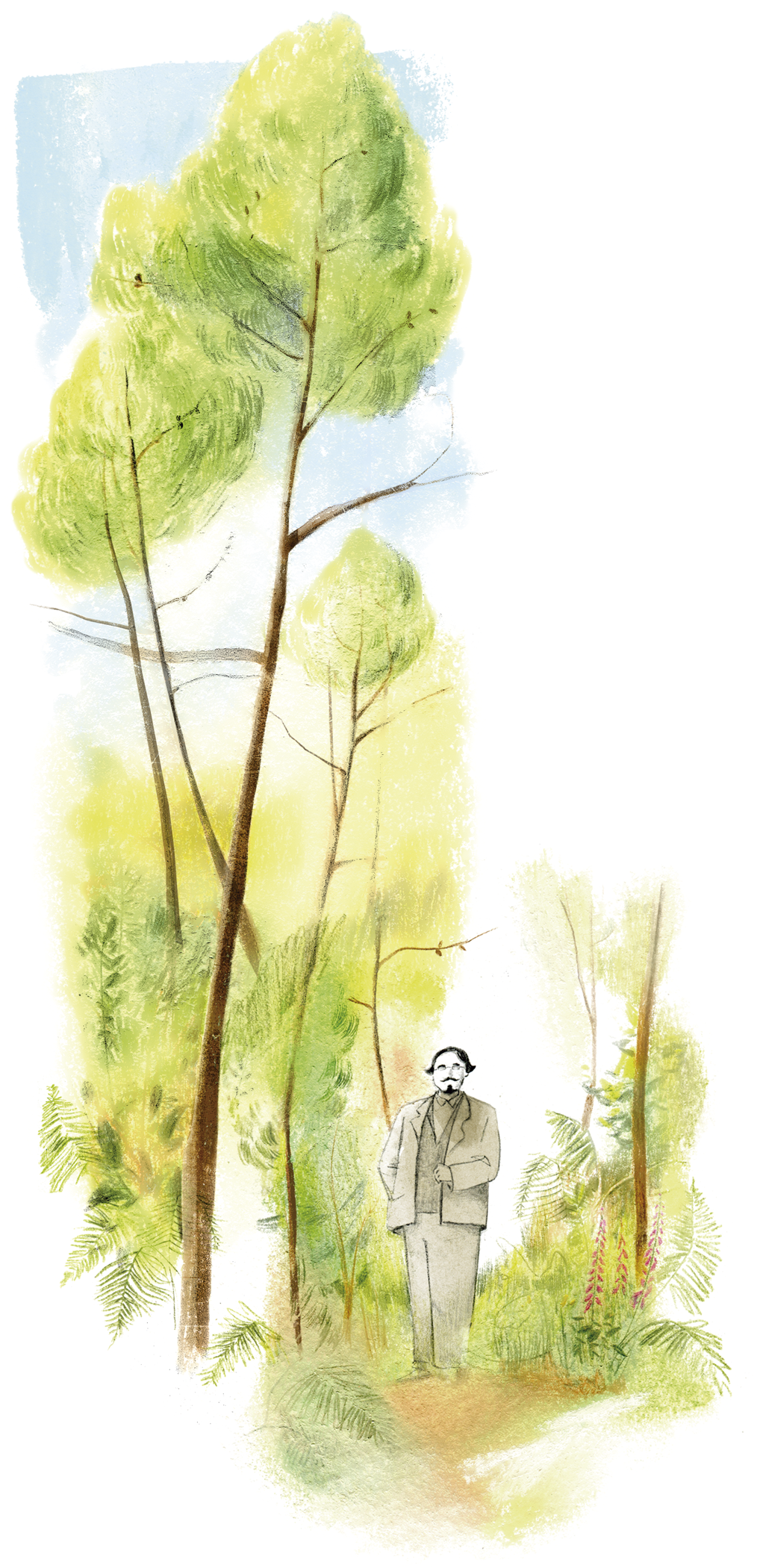 Árbore e personaxe no bosque