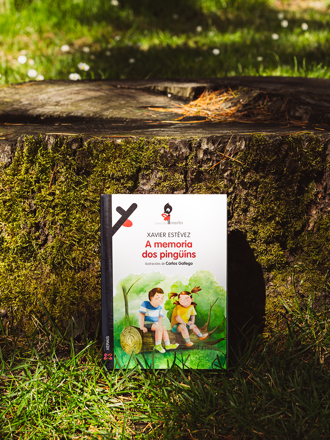 A Memoria dos Pingüins - Portada e dobre páxina