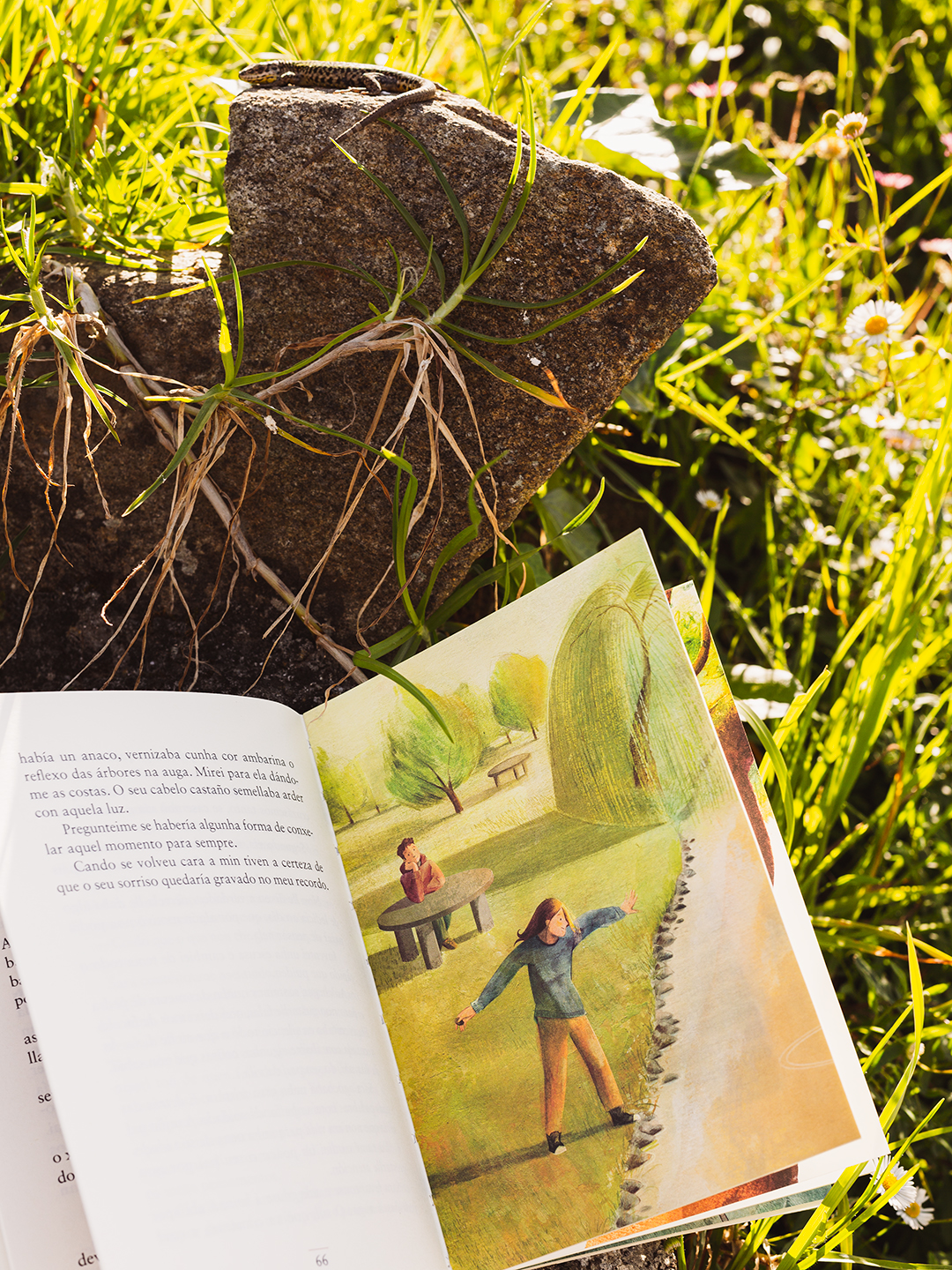 Fotografía libro aberto