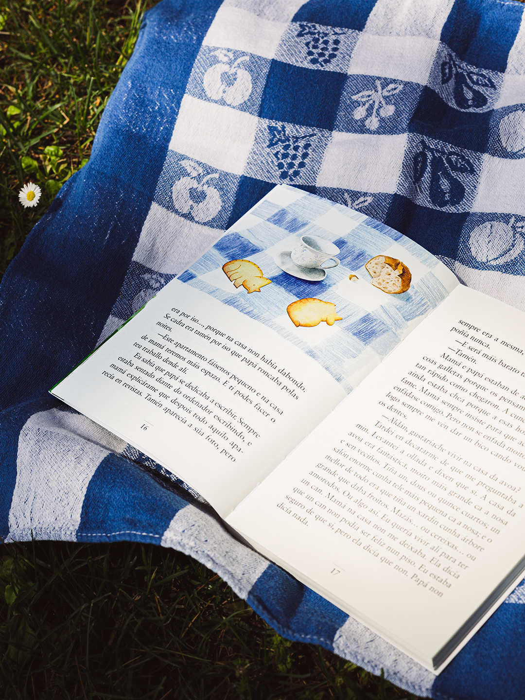 A Memoria dos Pingüins - Interior libro